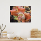 ハワイの熱帯花ポスター ポスター (キッチン)