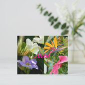 ハワイの熱帯花 ポストカード (スタンド正面)