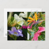 ハワイの熱帯花 ポストカード (正面/裏面)