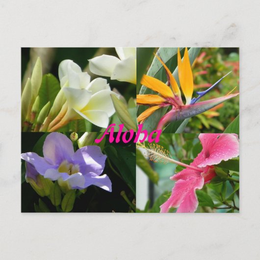 ハワイの熱帯花 ポストカード (正面)