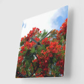 ハワイの王室のなPoincianaの花盛りの木 スクエア壁時計 (傾斜)