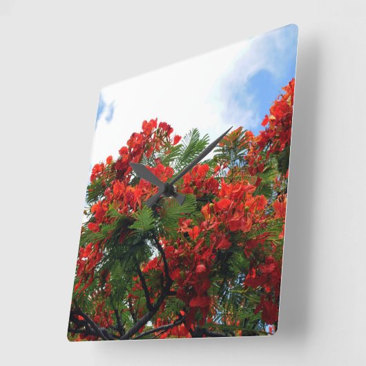 ハワイの王室のなPoincianaの花盛りの木 スクエア壁時計 (傾斜)