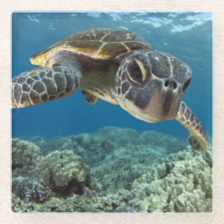 ハワイの緑のウミガメ ガラスコースター