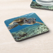 ハワイの緑のウミガメ コースター (左側)