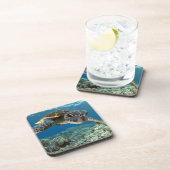 ハワイの緑のウミガメ コースター (右側)