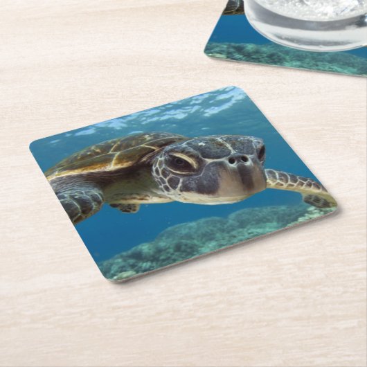 ハワイの緑のウミガメ スクエアペーパーコースター (アングル)