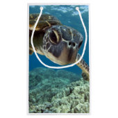 ハワイの緑のウミガメ スモールペーパーバッグ (裏面)