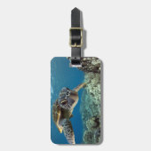 ハワイの緑のウミガメ ラゲッジタグ (正面縦)