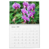 ハワイの自然のカレンダー カレンダー (1月 2027)