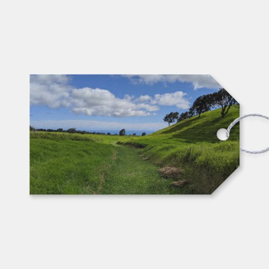 ハワイの自然風景写真 ギフトタグ (正面(横))