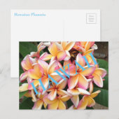 ハワイの花 ポストカード (正面/裏面)