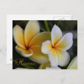 ハワイの花 ポストカード (正面/裏面)