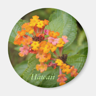 ハワイの花 マグネット