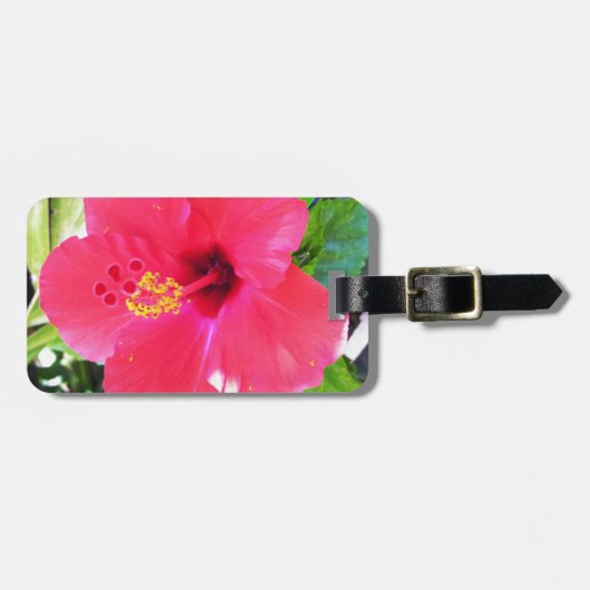 ハワイの赤いハイビスカスの花 ラゲッジタグ (正面横)