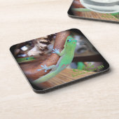 ハワイの金ゴールド塵のヤモリのコースター コースター (左側)