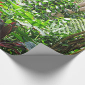 ハワイの雨林 ラッピングペーパー (コーナー)