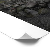 ハワイの雨 ポスター (角)