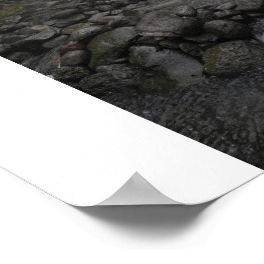 ハワイの雨 ポスター (角)