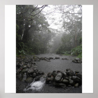 ハワイの雨 ポスター