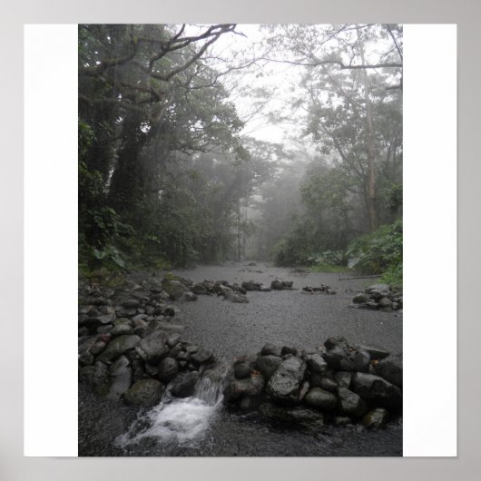 ハワイの雨 ポスター (正面)