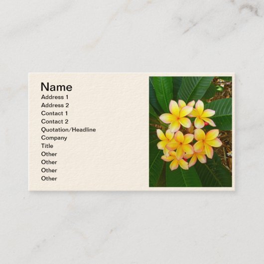 ハワイのFrangipani 名刺 (正面)