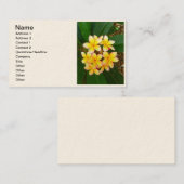 ハワイのFrangipani 名刺 (正面/裏面)