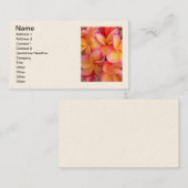 ハワイのFrangipani 名刺 (正面/裏面)