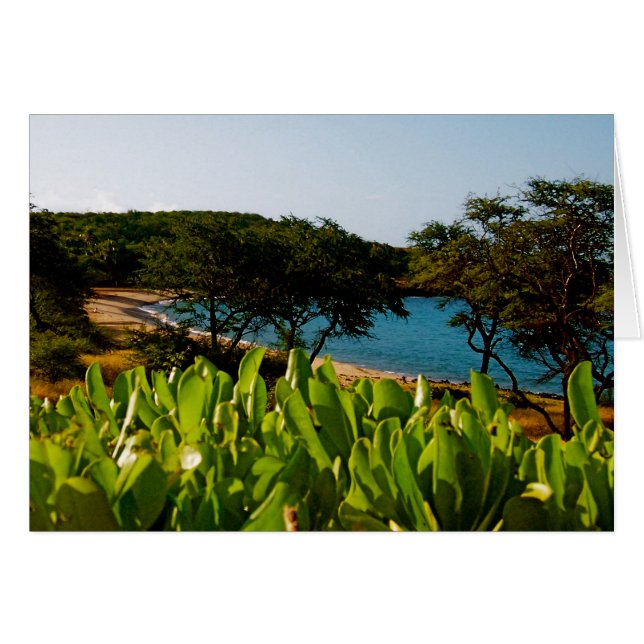 ハワイのLanaiの島 (正面横)