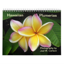 ハワイのPlumerias