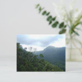 ハワイはがきシーン1 ポストカード (スタンド正面)