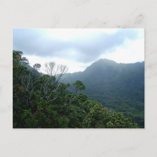 ハワイはがきシーン1 ポストカード (正面)