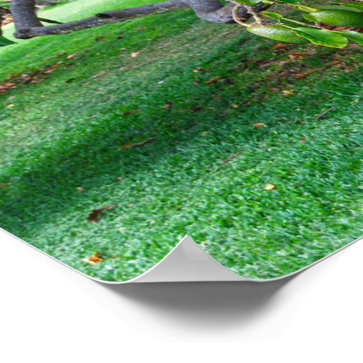 ハワイぶら下がったの遠くのアボカド ポスター (角)