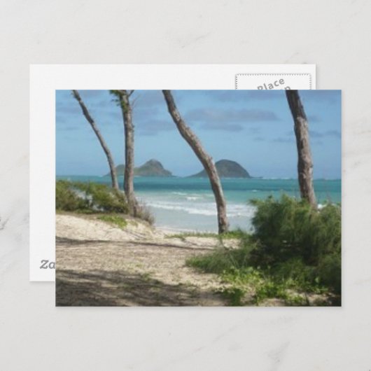 ハワイアロハコレクション ポストカード (正面/裏面)