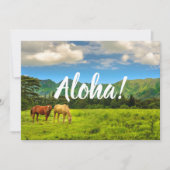ハワイアンの馬, ホクレレイ・ピーク, カウアイ島, ハワイ 招待状 (正面)