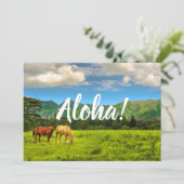 ハワイアンの馬, ホクレレイ・ピーク, カウアイ島, ハワイ 招待状 (スタンド正面)