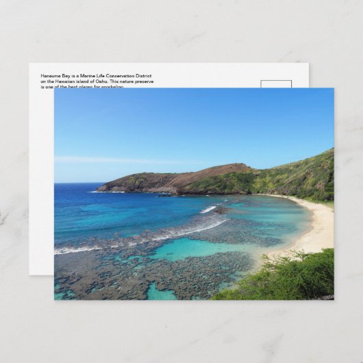 ハワイアンはがき ポストカード (正面/裏面)