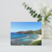 ハワイアンはがき ポストカード (スタンド正面)