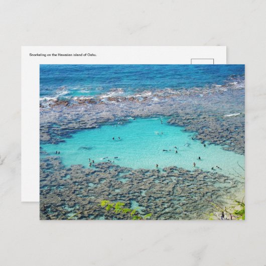 ハワイアンはがき ポストカード (正面/裏面)