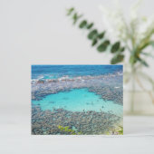 ハワイアンはがき ポストカード (スタンド正面)