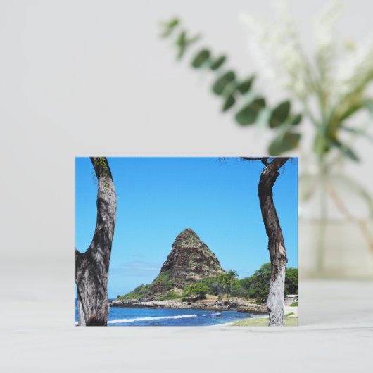 ハワイアンはがき ポストカード (スタンド正面)