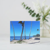 ハワイアンはがき ポストカード (スタンド正面)