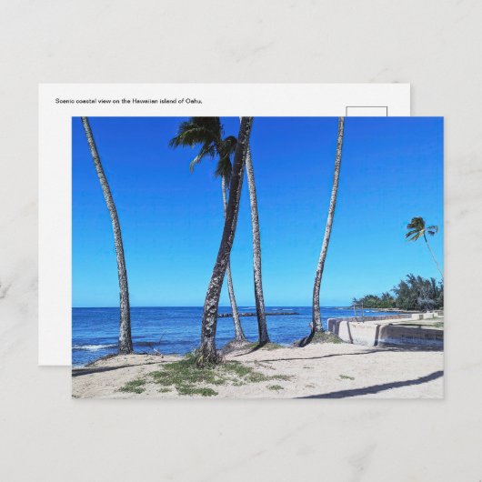 ハワイアンはがき ポストカード (正面/裏面)