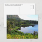 ハワイアンはがき ポストカード (正面/裏面)