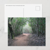 ハワイアンはがき ポストカード (正面/裏面)