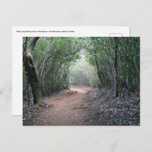 ハワイアンはがき ポストカード (正面/裏面)