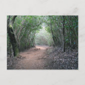 ハワイアンはがき ポストカード (正面)