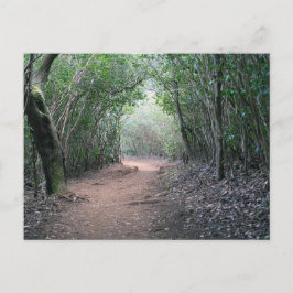 ハワイアンはがき ポストカード