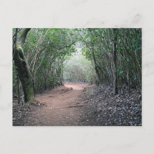 ハワイアンはがき ポストカード (正面)