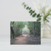 ハワイアンはがき ポストカード (スタンド正面)