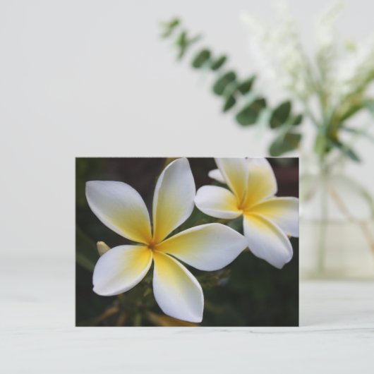 ハワイアンはがき ポストカード (スタンド正面)